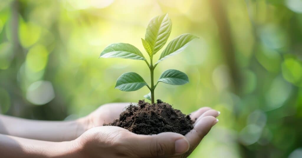 How to Find Nonprofit Donors