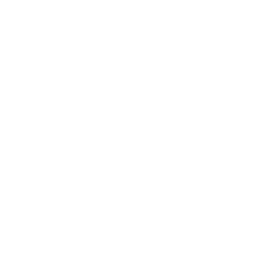 Texas RioGrande Legal Aid white logo